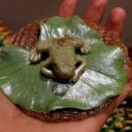 Totally Sugar - Baketopia - Frog Cookie