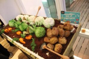 Totally Sugar - Baketopia - Veg Patch