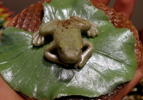 Totally Sugar - Baketopia - Frog Cookie