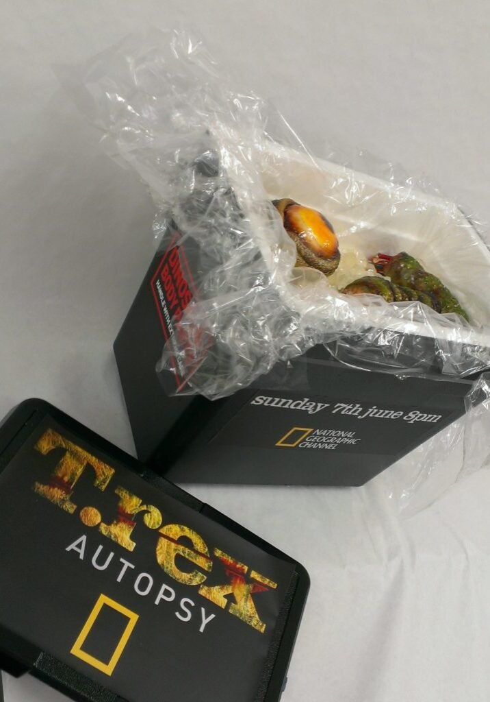 t side box